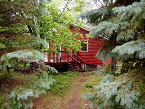 Approaching the side entry from the South