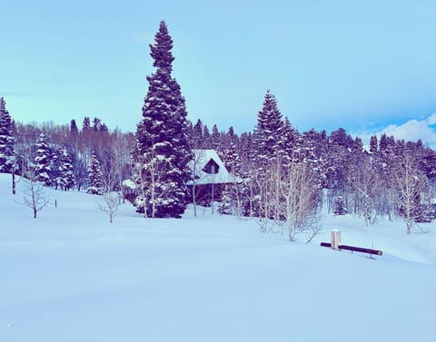 Property in peak snow season