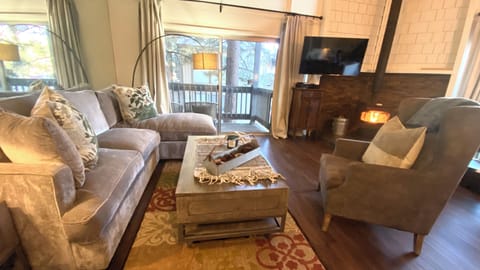 Updated Living room with full sleeper sofa 