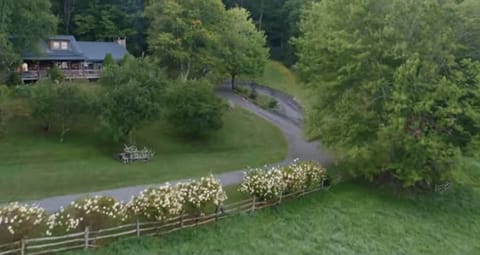 Fiddlehead at Banner Elk Arrival