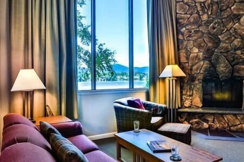 Wood burning fireplaces