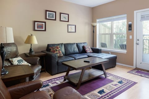Living Room with Gas Fireplace and TV