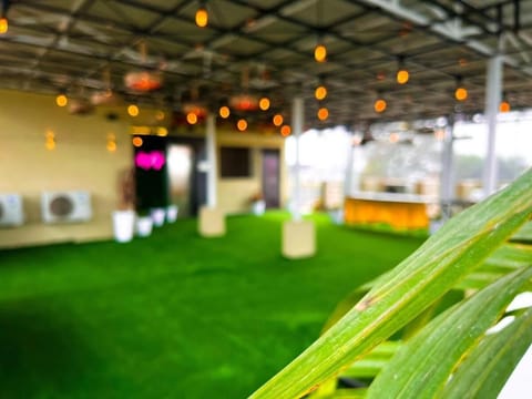 Junior Room | Terrace/patio