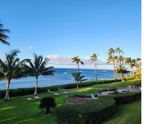 Ocean view