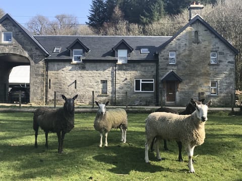 Outside Ederline Farm Cottage