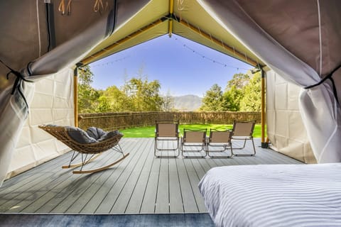 Tent | View from room