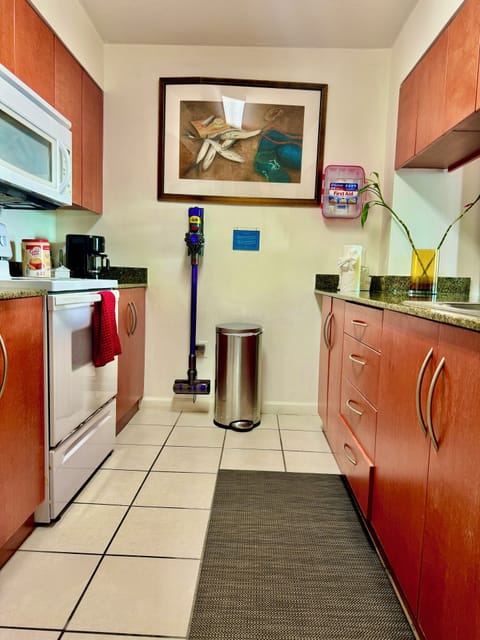 Luxury Condo | Private kitchen | Full-size fridge, microwave, oven, stovetop