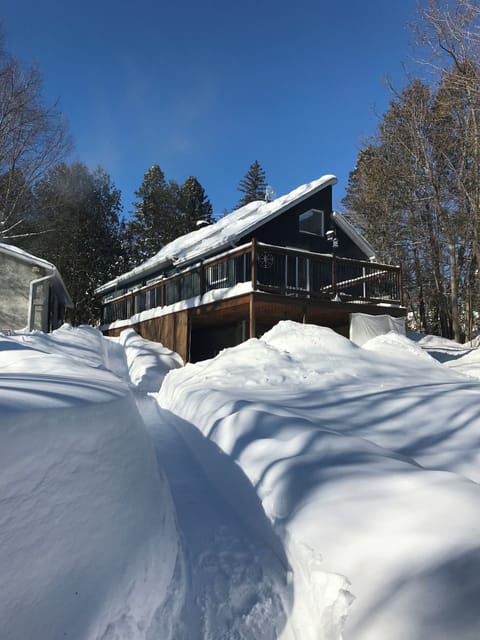 Vue arrière hiver