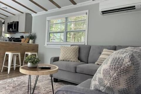 Living Room and Bar Seating