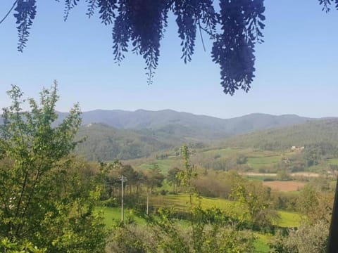 Surroundings [summer] (1-5 km)