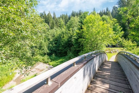 Immediate Surroundings [summer] (<1 km)