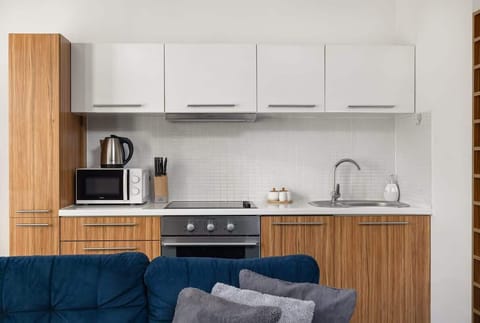View of the kitchenette. Modern kitchen with high quality appliances. 