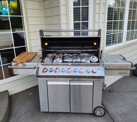 Large professional grill for large family BBQ's