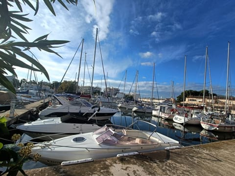 Marina