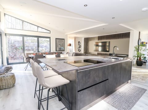 Fridge, dishwasher, electric kettle, toaster