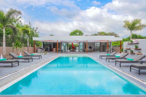 Outdoor pool, sun loungers
