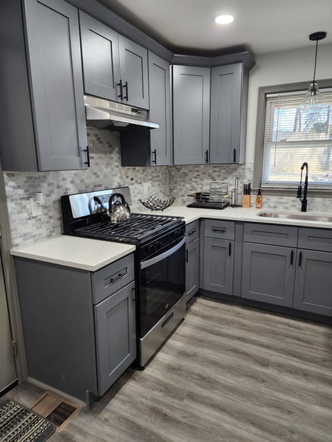 Modern Gas cooktop and oven