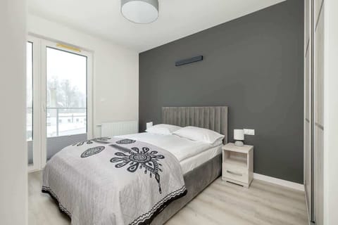 Bedroom with gray accent wall, double bed, and minimalist decor.
