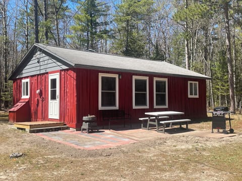 Front view of the cabin, picnic table, and grill.