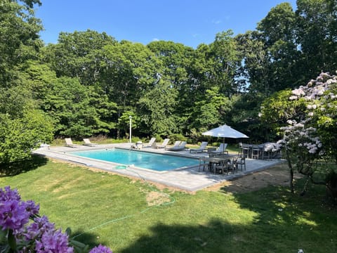 Sprawling pool with outdoor kitchen