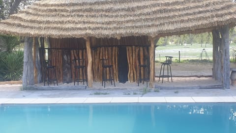 Swim-up bar