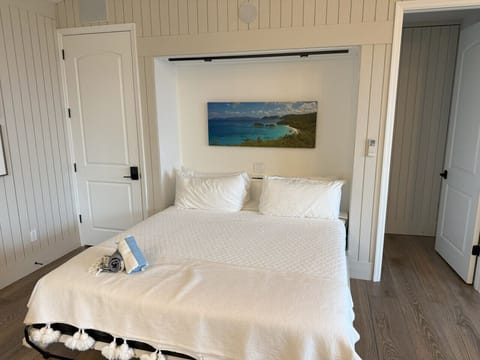 King Murphy Bed in down position