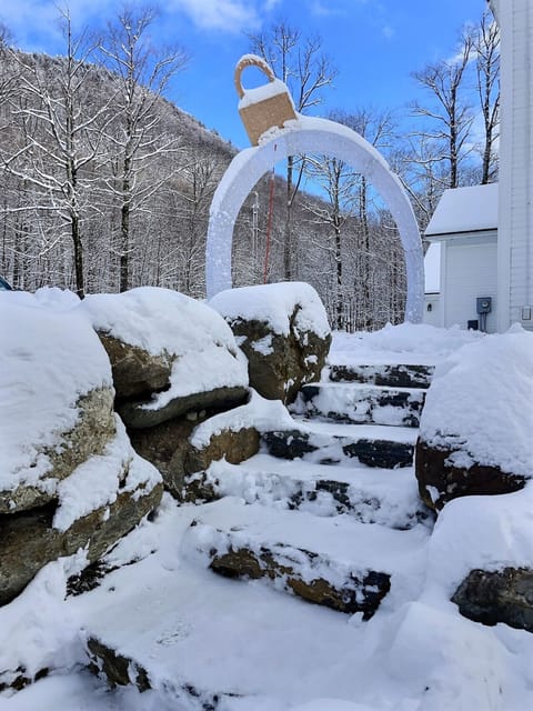 Scenic winter entrance with stone steps and snowy surroundings.