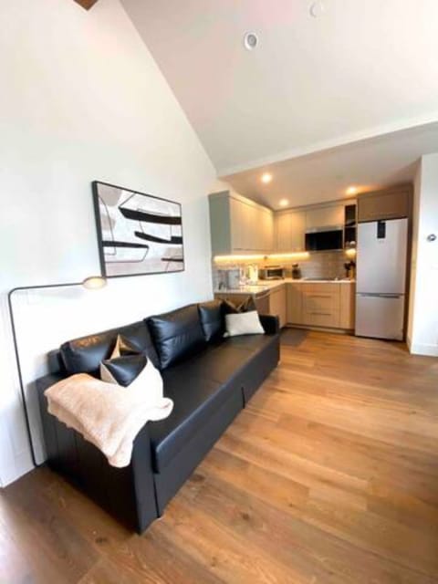Living area and kitchenette