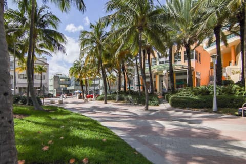 Palm-lined streets of vibrant South Beach just steps from the condo.