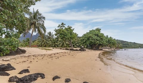 Beach Access: Island paradise environment