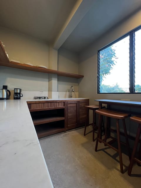 Luxury Apartment | Private kitchen | Fridge, microwave, stovetop, coffee/tea maker