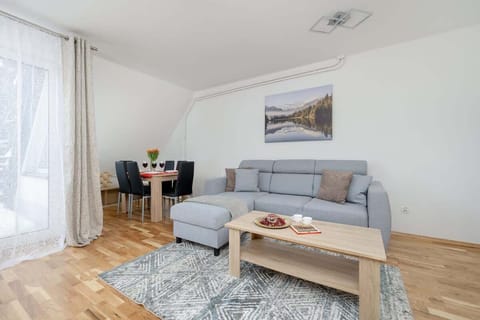 Comfortable living room with a corner double sofa bed.