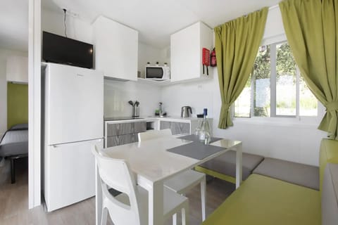 20-inch flat-screen TV with satellite channels