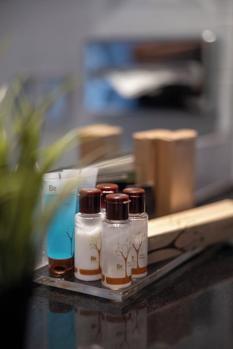 Shower, free toiletries, hair dryer, slippers