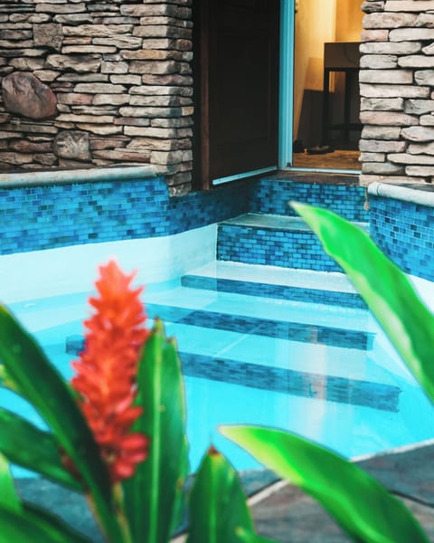 Plunge pools direct access from the bathroom (1)