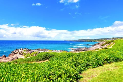 View along the Kapalua Coastal Trail, just steps from your patio!    