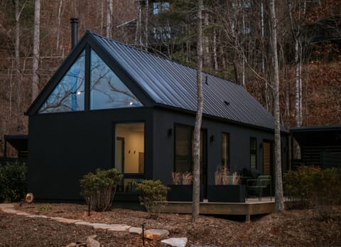 Custom designed 650 sq ft modern cabin completed in 2023.