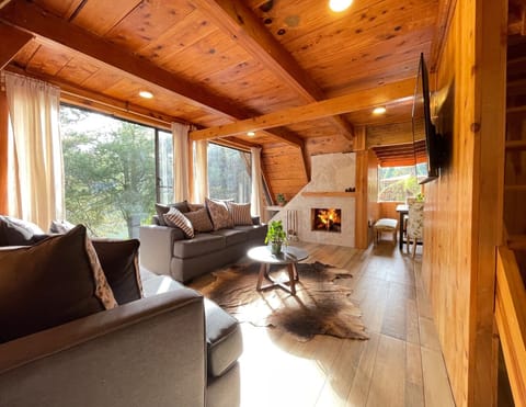 Elite Cabin | Living area | Flat-screen TV