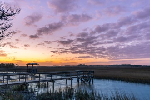 Backyard Tidal Creek