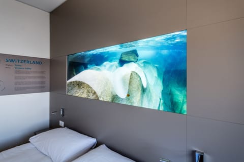 Standard Room | Hypo-allergenic bedding, in-room safe, desk, blackout drapes