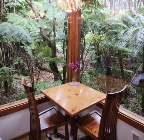 The Hapu’u Room

Panorama view of the rainforest 