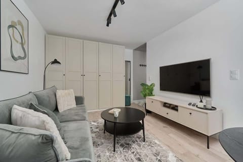A modern living room with a gray sofa, a wooden TV console, and a stylish black coffee table.
