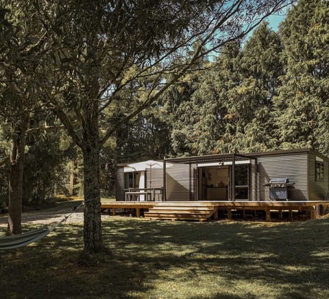 The hammock and cottage from the outside