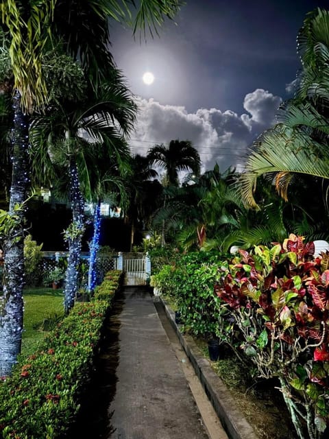 Standard Apartment, 1 Bedroom, Kitchenette | Garden view