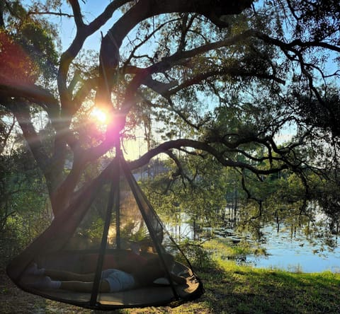 relax on our new saucer hammock 