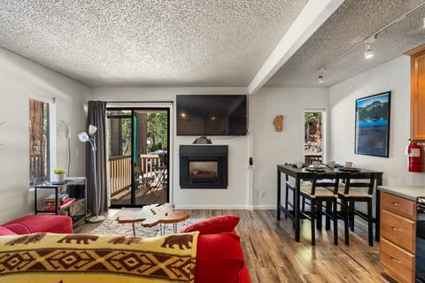 Living / Dining Area