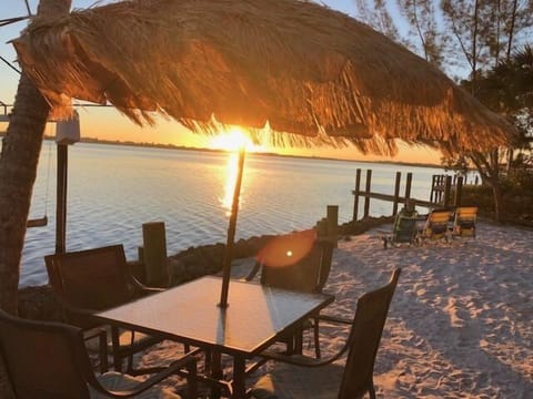 Kick back and relax in Blue Island Inn's sandy  Lemon  Bay Beach area right out back!  Keep your eyes peeled for dolphins which like to play and fish right near us!