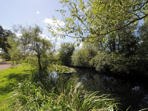 Cottage | Property grounds