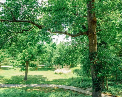 Welcome to Tribesman Resort! This is the view off of your private balcony.