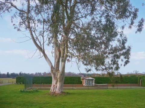 Tennis court | Cottage 5 - Oaklands Farm, East Tytherley